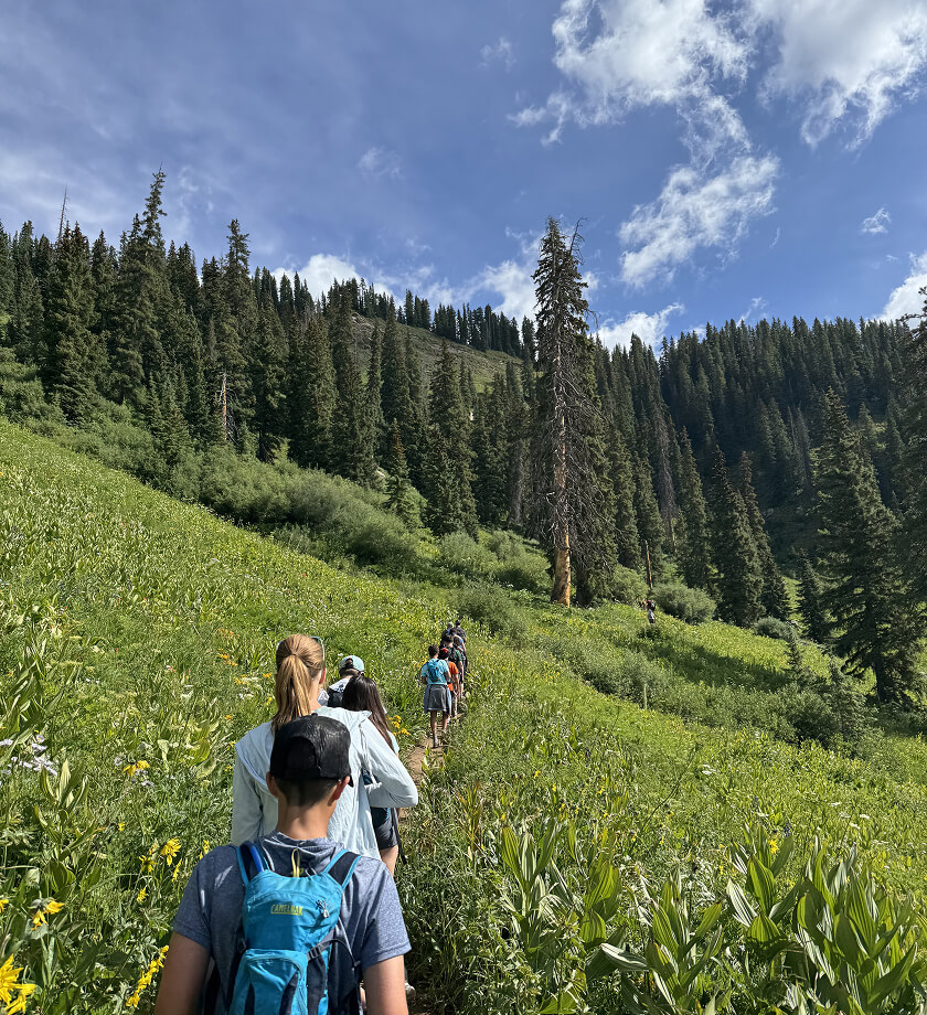 Hikers traverse a mountain meadow